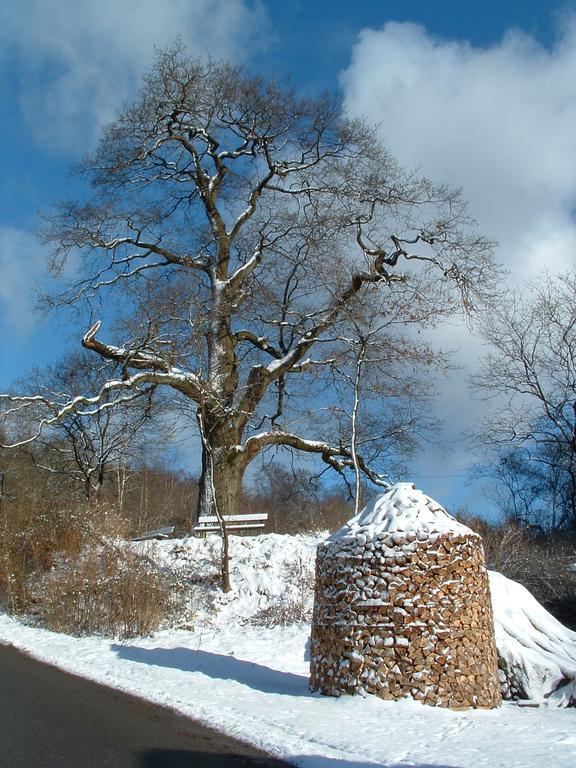 Hotel Schwalenberger Malkasten Schieder-Schwalenberg Exteriör bild